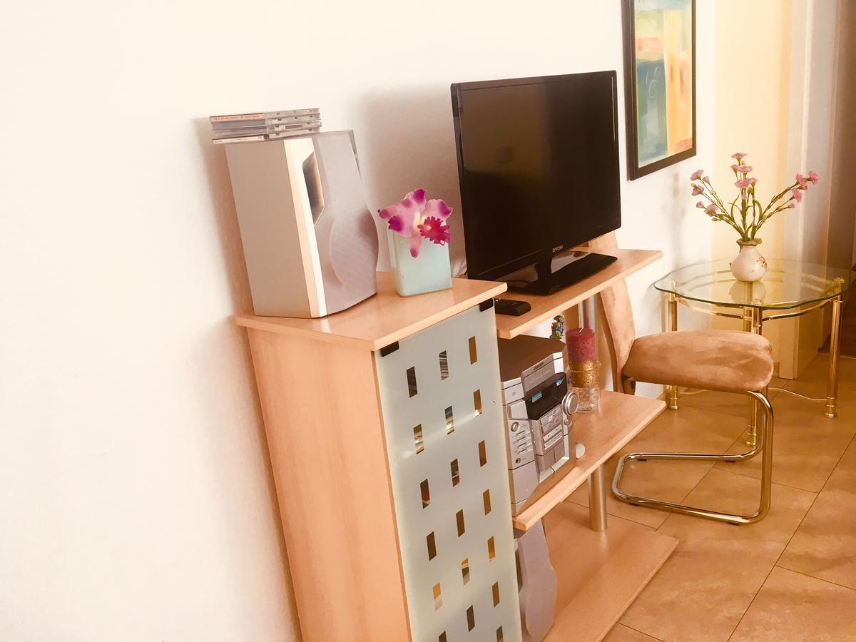 Ferienwohnung Ueber Den Daechern Von 德累斯顿 外观 照片