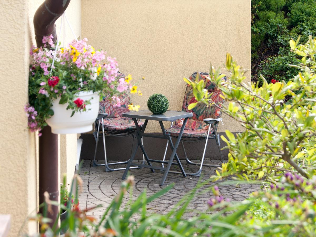 Ferienwohnung Ueber Den Daechern Von 德累斯顿 外观 照片